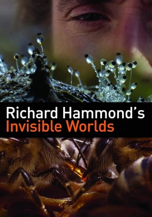 Richard Hammond's Invisible Worlds