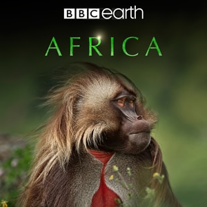 Africa
