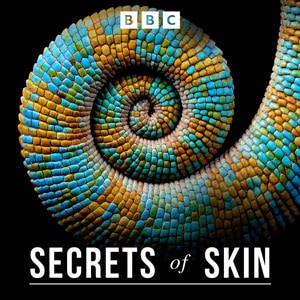 Secrets of Skin