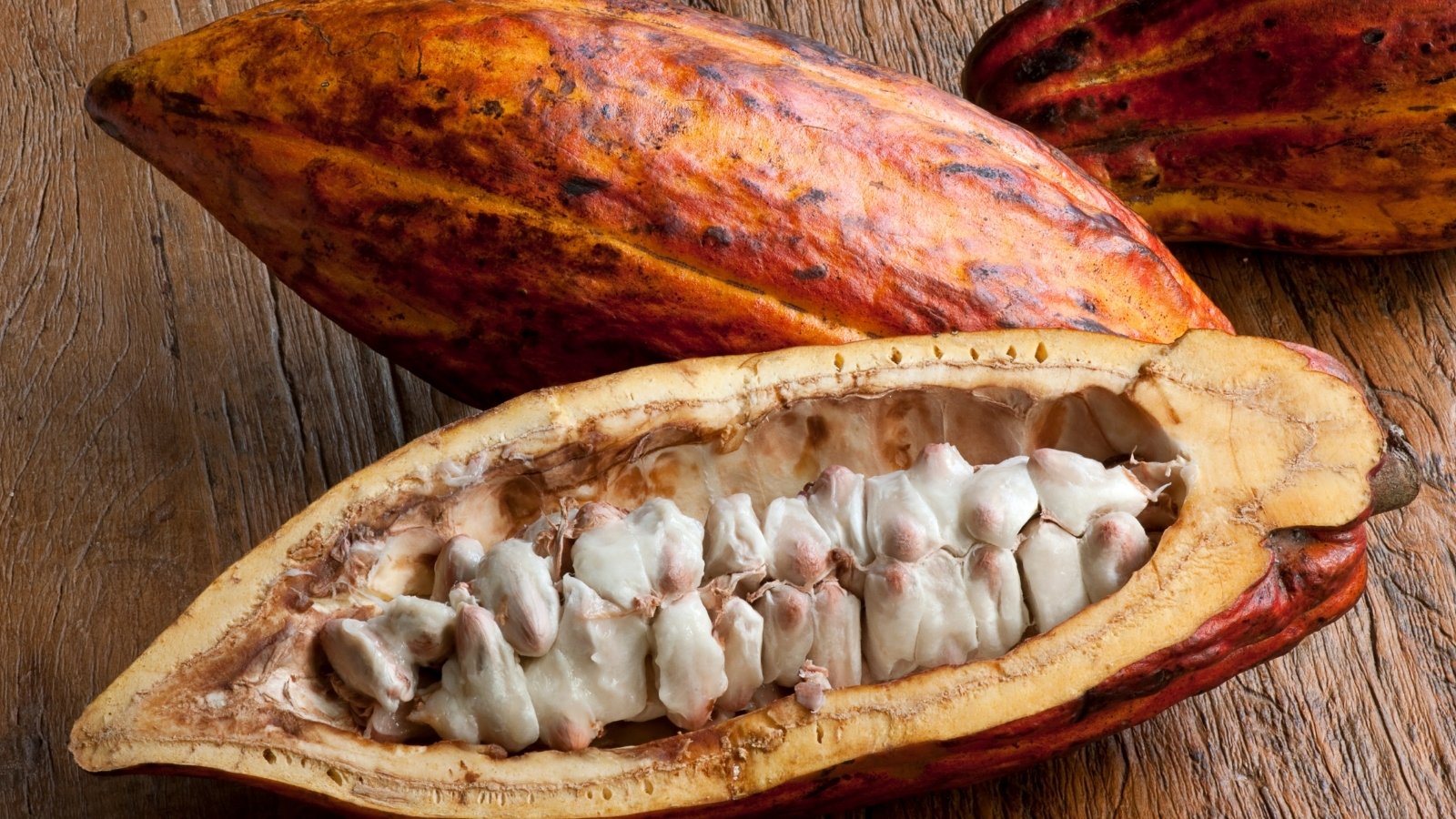 An image of a cacao bean split open