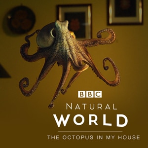 Natural World: The Octopus in My House
