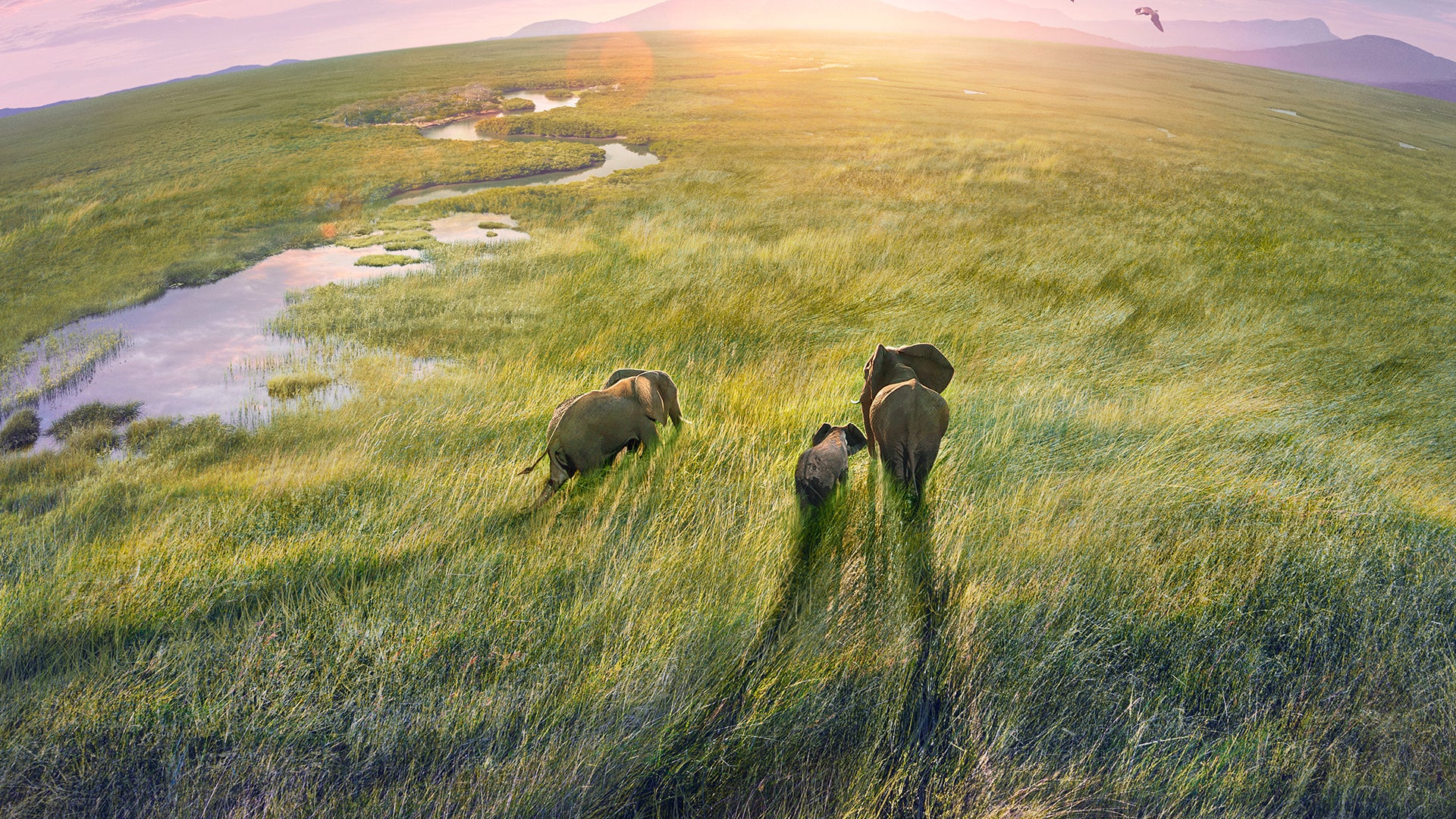 Planet Earth II