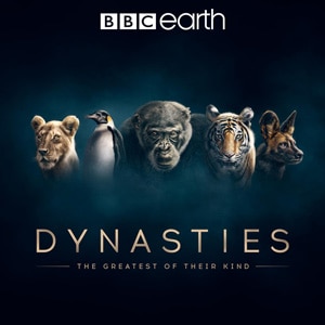 Dynasties
