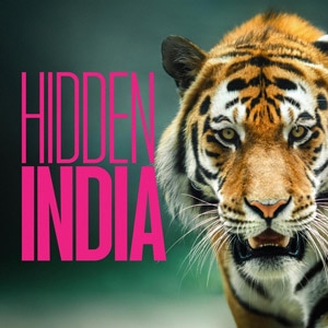 Hidden India